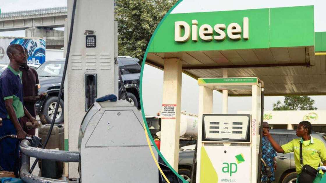 Diesel Prices Jump Across Lagos, Port Harcourt as Dangote Keeps Petrol Price Stable