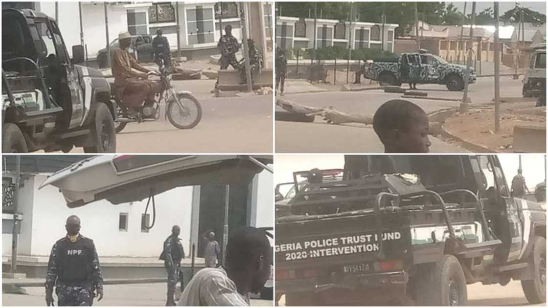 Bello Matawalle/Dauda Lawal/Zamfara/PDP/APC/Femi Fani-Kayode/Police Bello Matawalle/Dauda Lawal/Zamfara/PDP/APC/Femi Fani-Kayode/Police