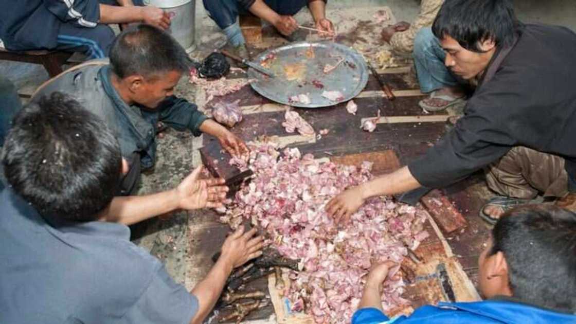 Hotunan yadda ake rayuwa a gidan mutumin da ya fi kowa iyalai a duniya Hotunan yadda ake rayuwa a gidan mutumin da ya fi kowa iyalai a duniya