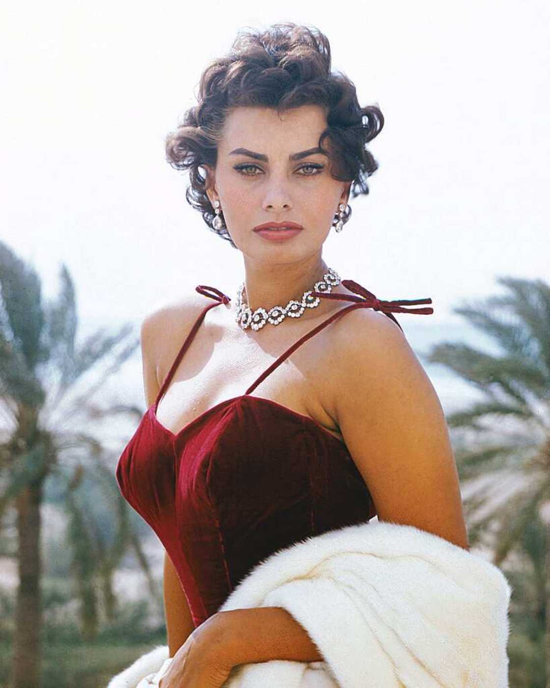 la cagole la cagole