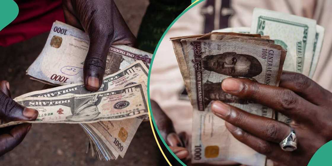 CBN naira to dollar exchange rate