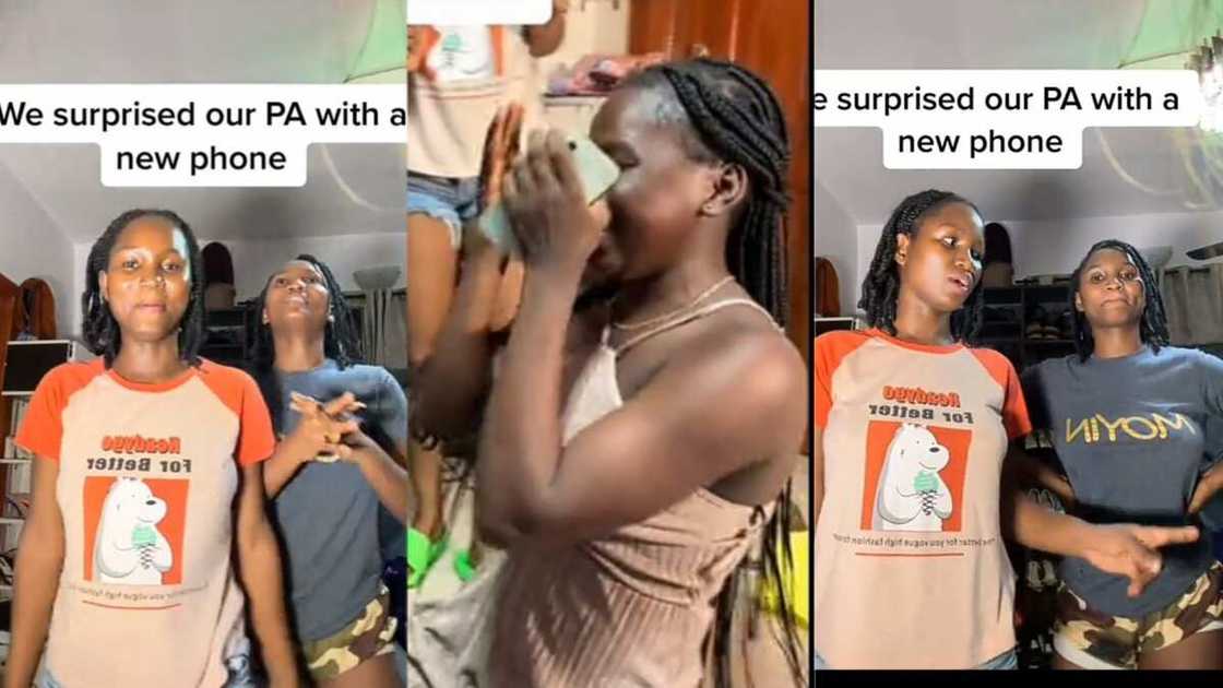 Photos of the twins and their camerawoman Photos of the twins and their camerawoman