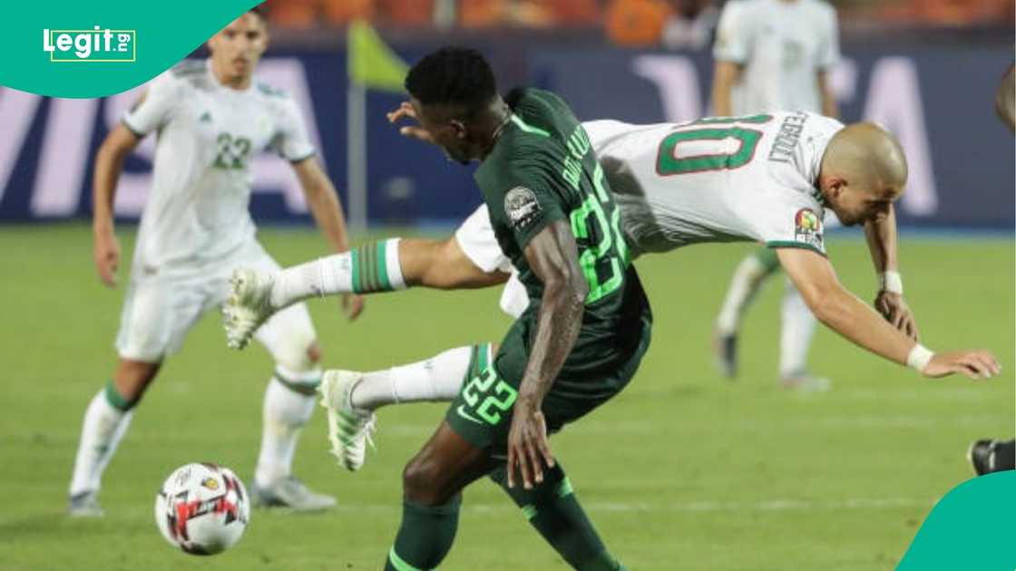 AFCON, Nigeria vs Algeria, nigeria, super eagles, desert foxes, algeria, morocco, quarter finals AFCON, Nigeria vs Algeria, nigeria, super eagles, desert foxes, algeria, morocco, quarter finals
