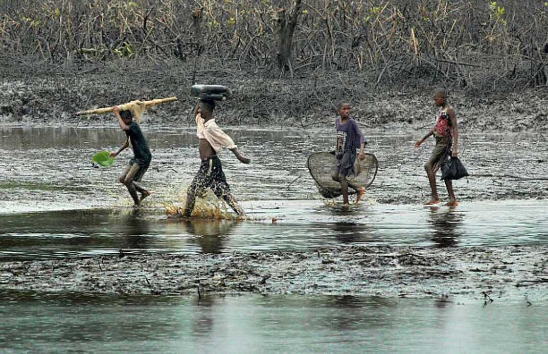 IOCs, Niger Delta, CSR, Insecurity IOCs, Niger Delta, CSR, Insecurity