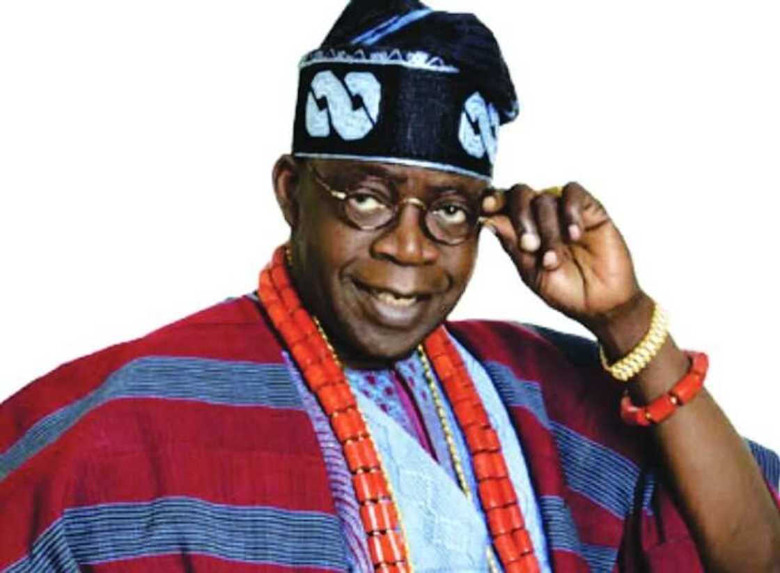 Shugaba a 2023: Jerin manyan kungiyoyi da suka nuna goyon baya ga Tinubu a zabe mai zuwa Shugaba a 2023: Jerin manyan kungiyoyi da suka nuna goyon baya ga Tinubu a zabe mai zuwa