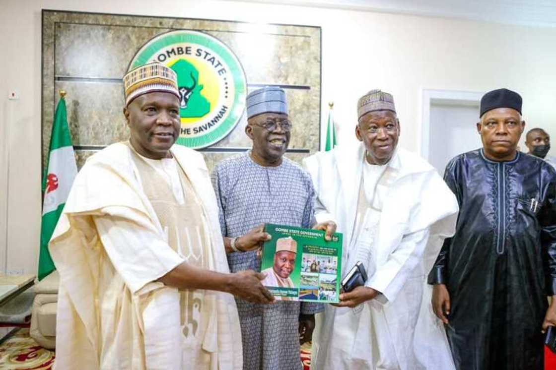 2023 election, Gombe Governor Inuwa Yahaya, Gombe APC delegates, Bola Tinubu