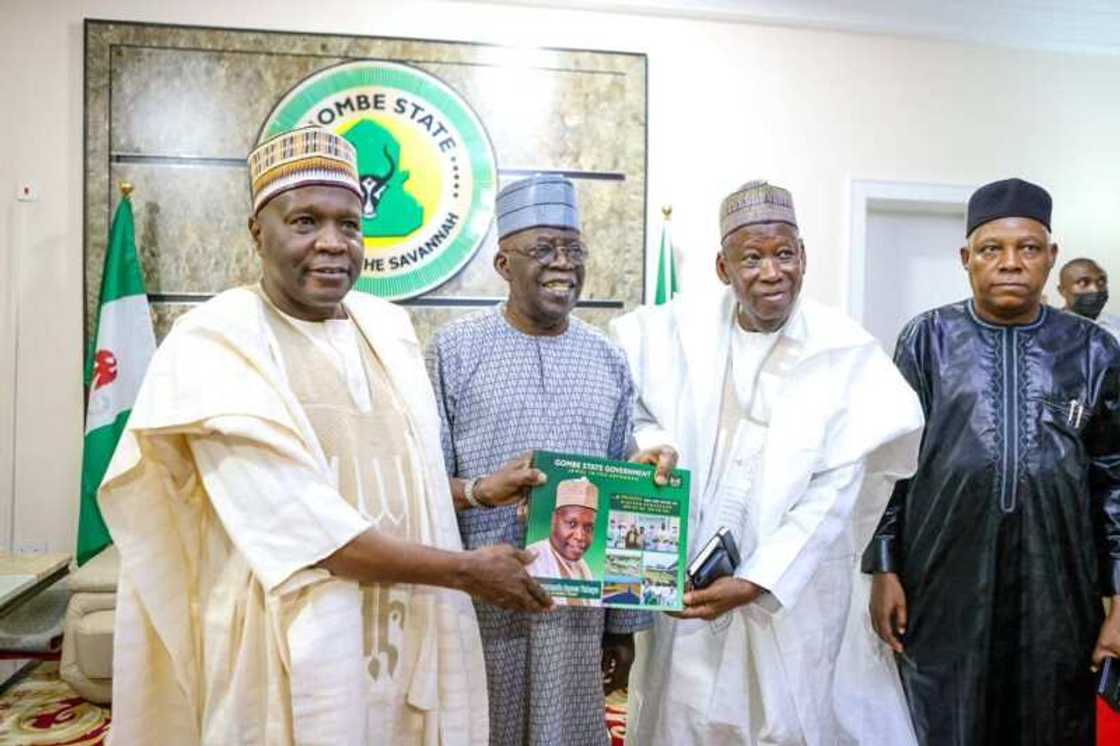 2023 election, Gombe Governor Inuwa Yahaya, Gombe APC delegates, Bola Tinubu 2023 election, Gombe Governor Inuwa Yahaya, Gombe APC delegates, Bola Tinubu