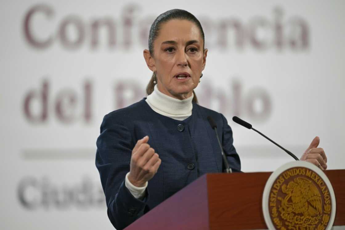 Mexico's President Claudia Sheinbaum, seen here in early February, has pledged to collaborate with Washington Mexico's President Claudia Sheinbaum, seen here in early February, has pledged to collaborate with Washington