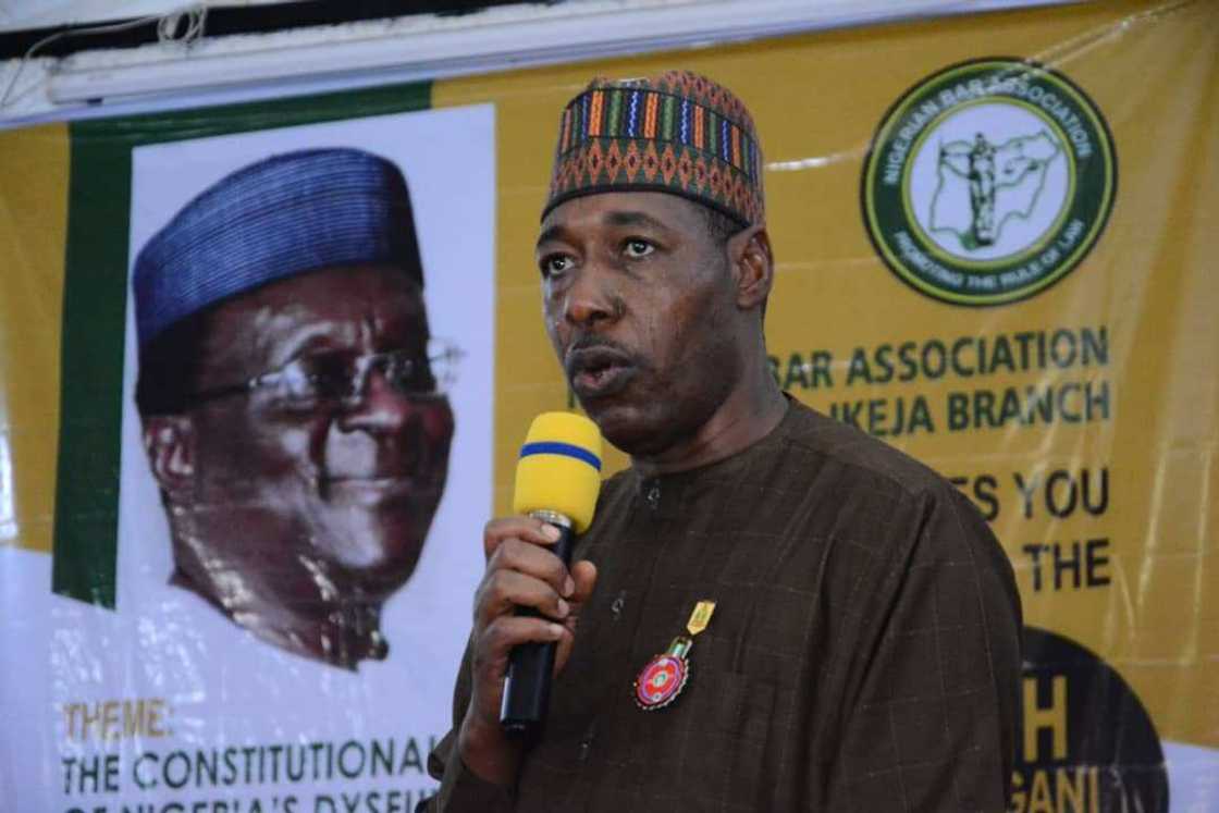 There are white men, Asians, Muslims and Christians in Boko Haram, says Zulum