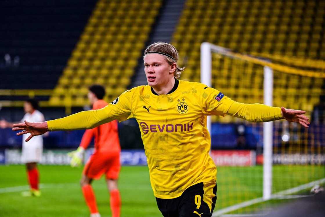 Erling Haaland. Erling Haaland.