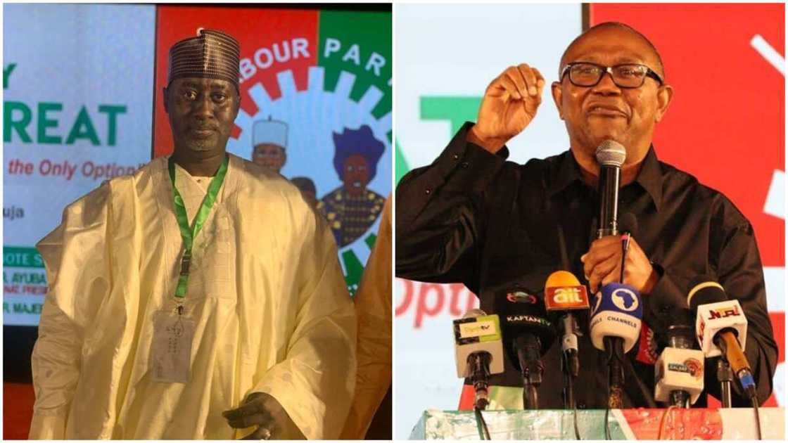 Bashir Ishaq Bashir/Kano Labour Party Governorship Candidate/Peter Obi/APC Bashir Ishaq Bashir/Kano Labour Party Governorship Candidate/Peter Obi/APC