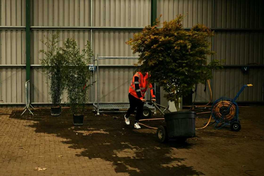 Plants imported from Europe now face tighter post-Brexit checks Plants imported from Europe now face tighter post-Brexit checks