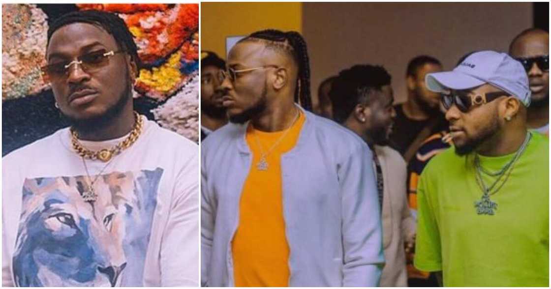 Peruzzi, Davido