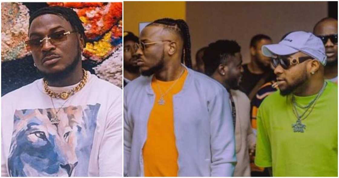 Peruzzi, Davido Peruzzi, Davido