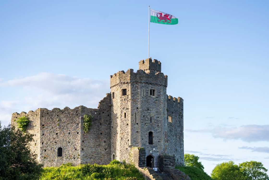 A general view of Cardiff Castle