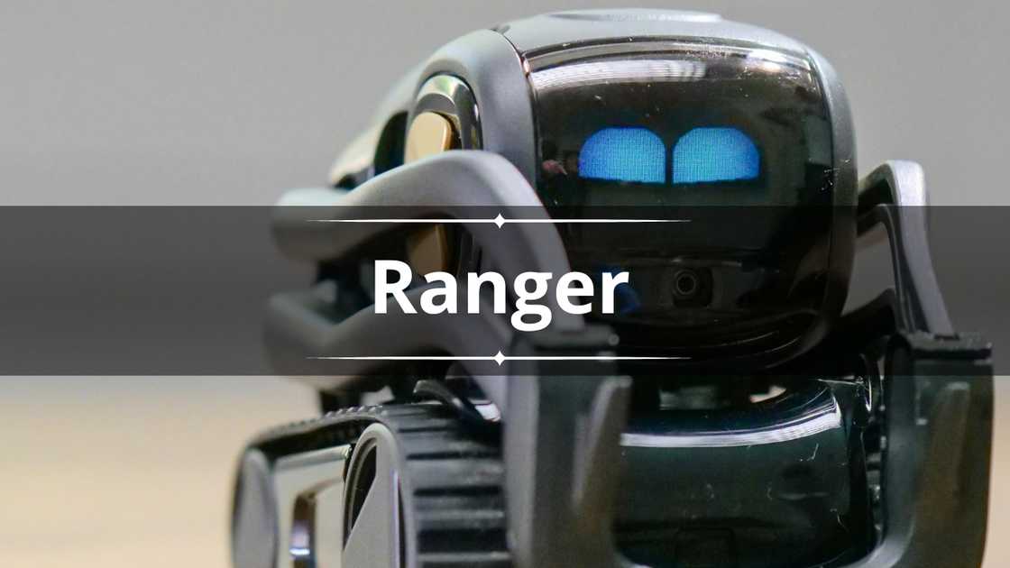 A selective focus of a black robot toy