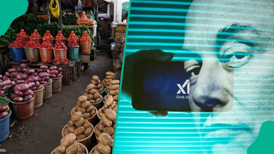 Elon Musk's AI chatbot, Grok, drops a controversial comment on Nigeria's inflation report. Elon Musk's AI chatbot, Grok, drops a controversial comment on Nigeria's inflation report.