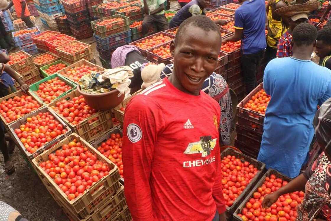Tomatoes, Yam, Taxes Tomatoes, Yam, Taxes
