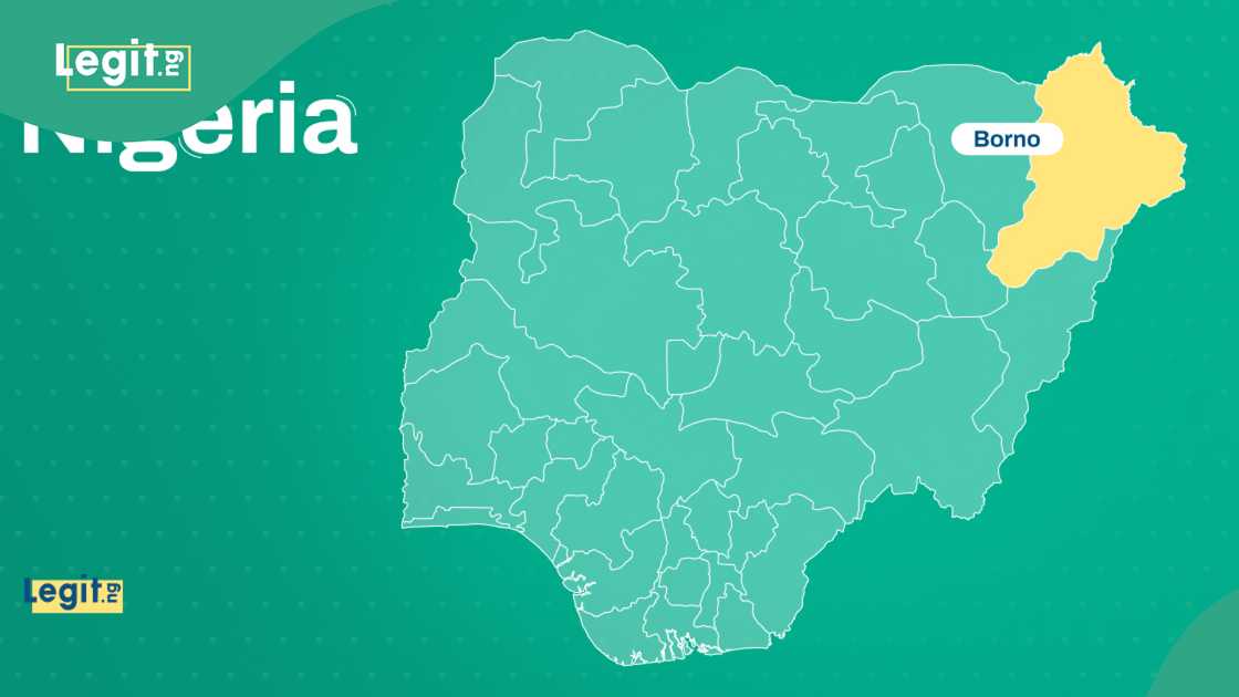 Borno attack: Seven commuters dead after IED explosion Borno attack: Seven commuters dead after IED explosion