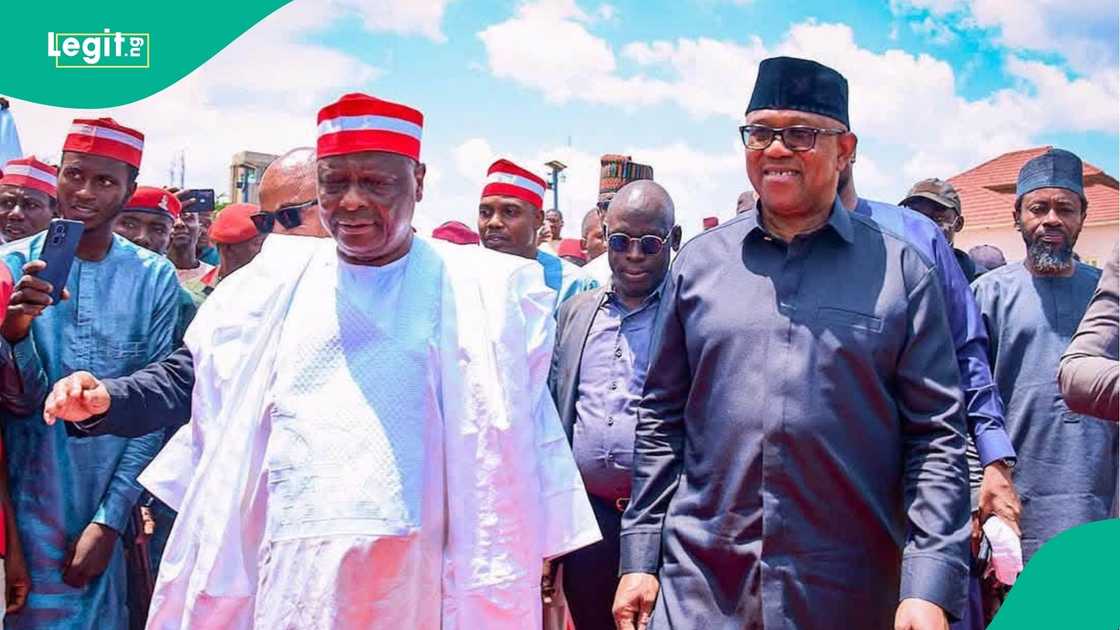 Peter Obi da Rabiu Kwankwaso