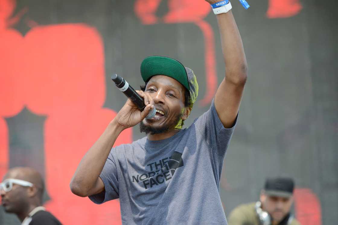 Rapper Del the Funky Homosapien at the Summertime in the LBC festival Rapper Del the Funky Homosapien at the Summertime in the LBC festival