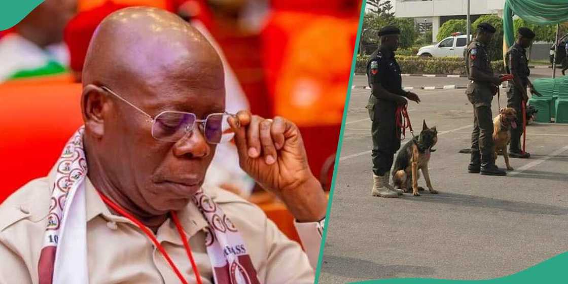 Adams Oshiomhole, FG, inmates, NCS, dogs Adams Oshiomhole, FG, inmates, NCS, dogs