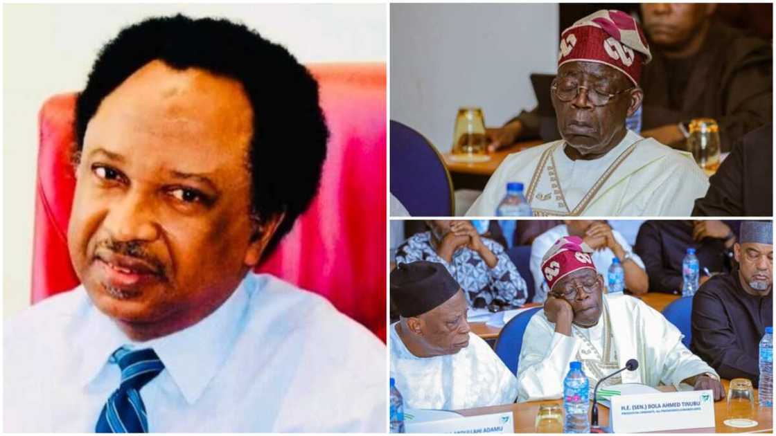 Shehu Sani da Bola Tinubu