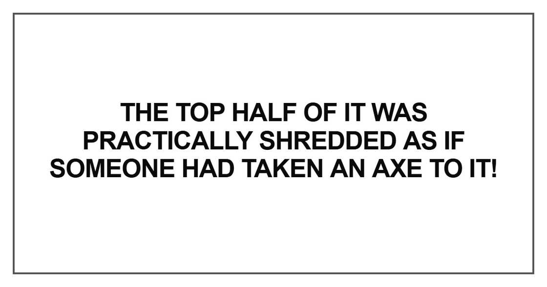 The top half of it was practically