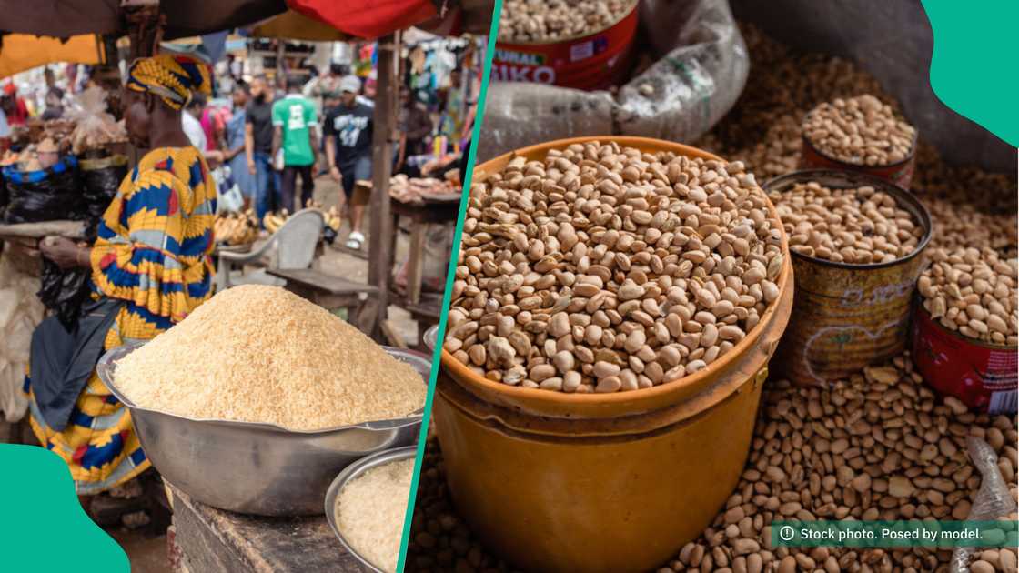 Beans price in the market drops Beans price in the market drops