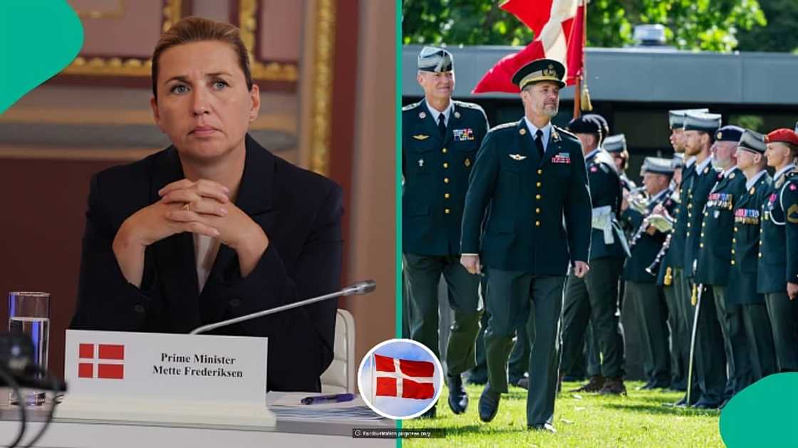 Denmark reveals how foreigners can qualify to join its army