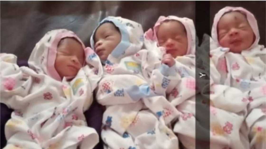 A picture showing all the four babies. Photo source: The Cable A picture showing all the four babies. Photo source: The Cable