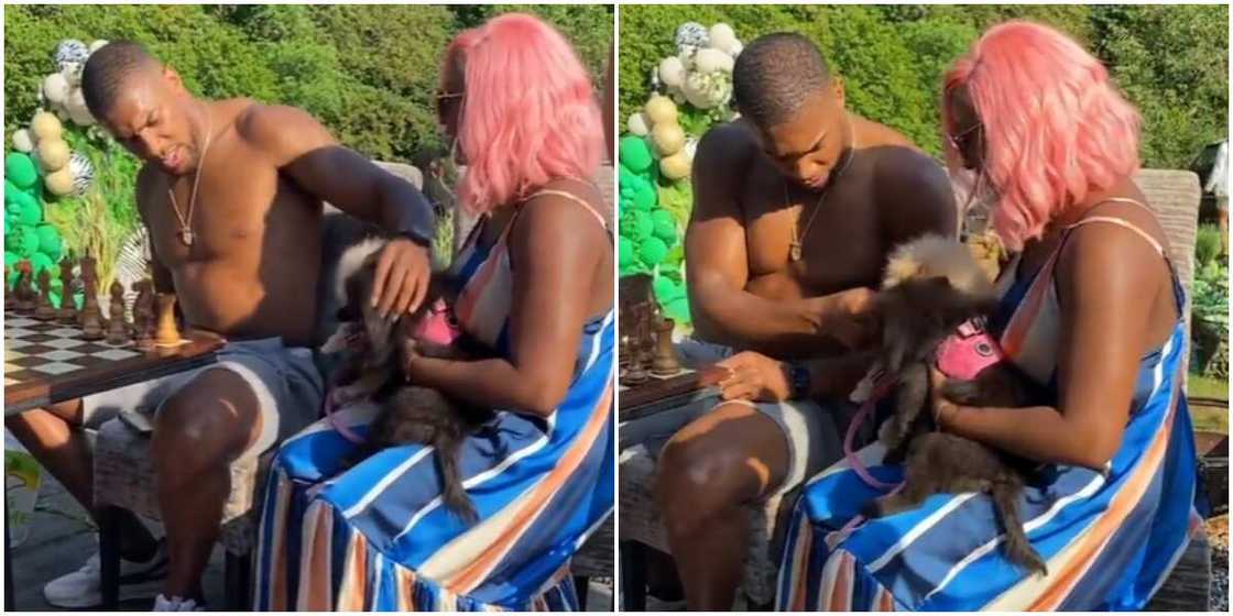 Anthony Joshua plays with Dudu and Funfun Anthony Joshua plays with Dudu and Funfun