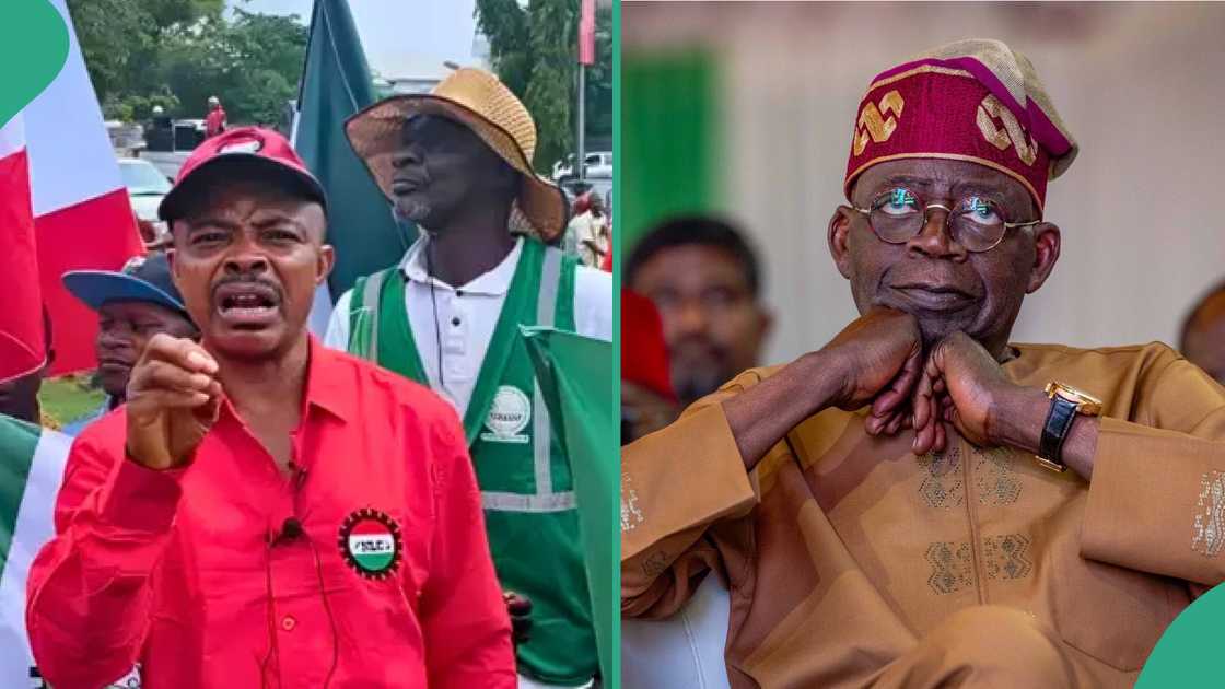 Tinubu told to address job losses in the manufacturing sector Tinubu told to address job losses in the manufacturing sector