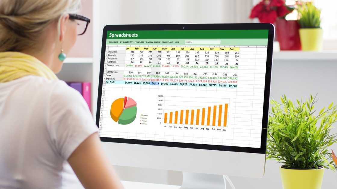 An office worker analysing a spreadsheet document An office worker analysing a spreadsheet document