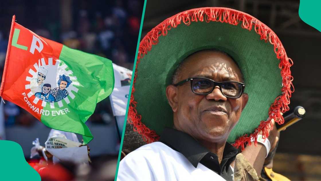 Just In: "We Will Not Give Obi 2027 Presidential Ticket," LP Faction Declares, Gives Reasons Just In: "We Will Not Give Obi 2027 Presidential Ticket," LP Faction Declares, Gives Reasons