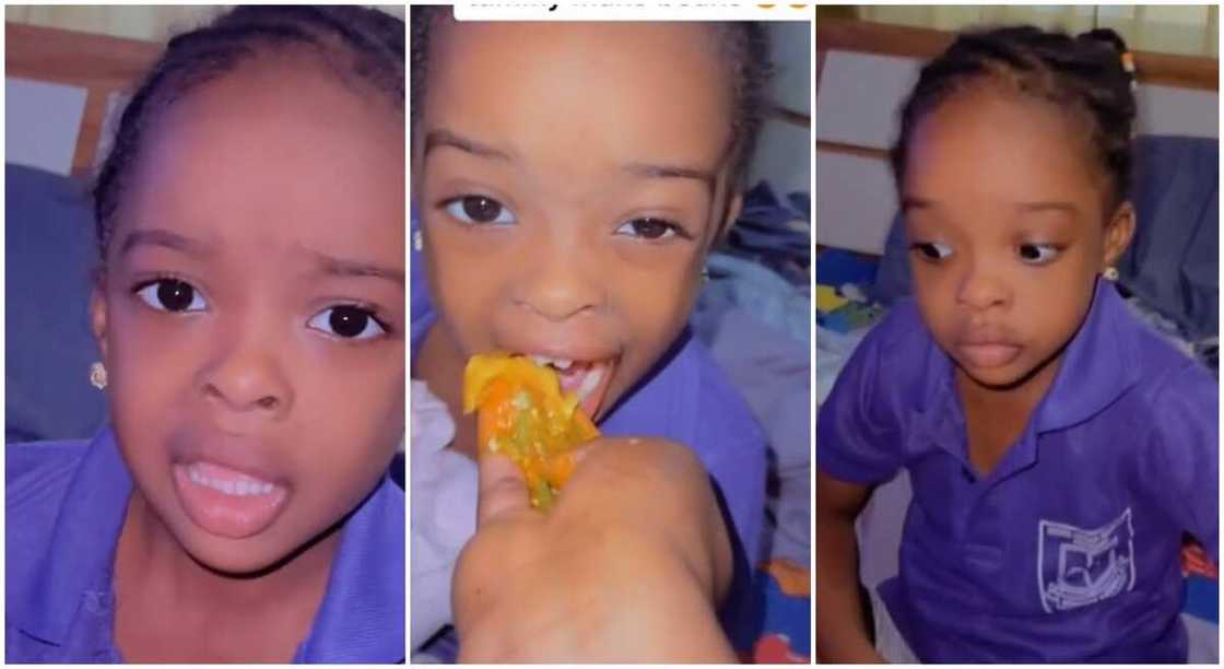 Photos of a baby eating swallow. Photos of a baby eating swallow.