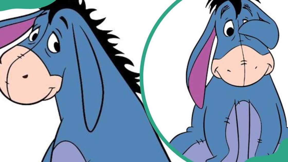 Eeyore from Winnie the Pooh