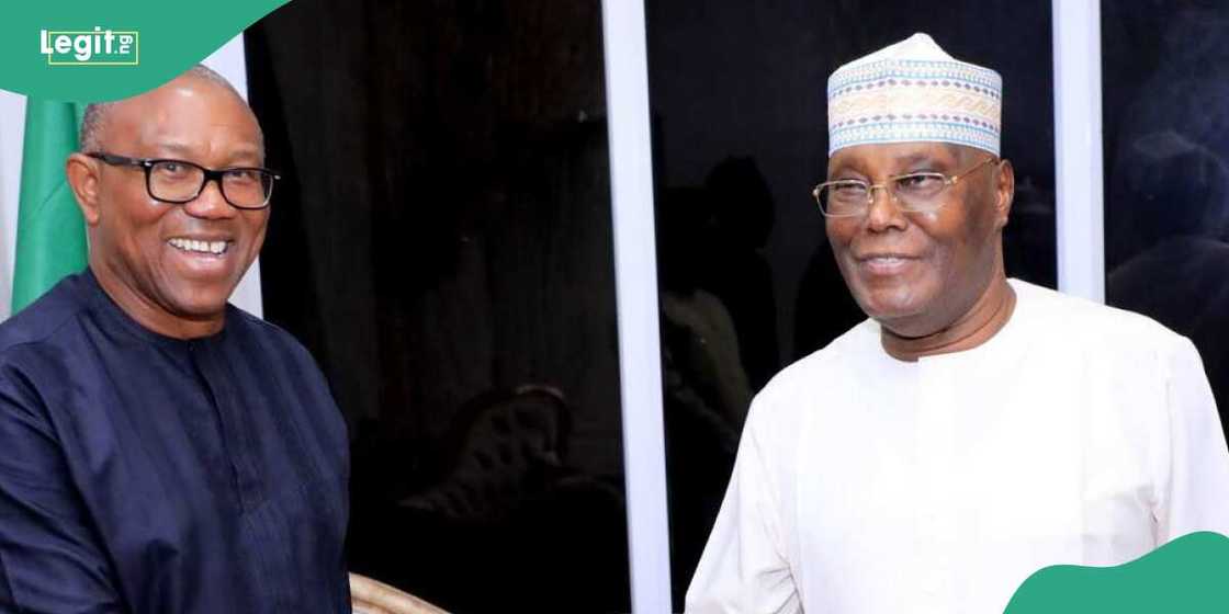 Daniel Bwala reacts to Peter Obi's visit to Atiku in Abuja Daniel Bwala reacts to Peter Obi's visit to Atiku in Abuja