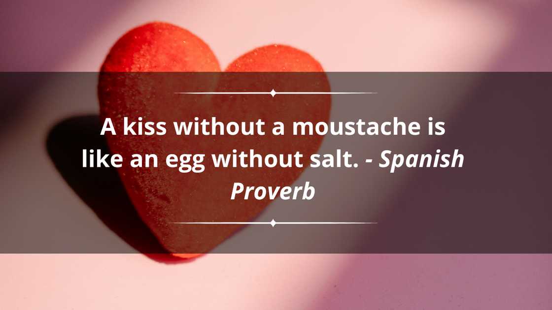 Funny crush quotes Funny crush quotes