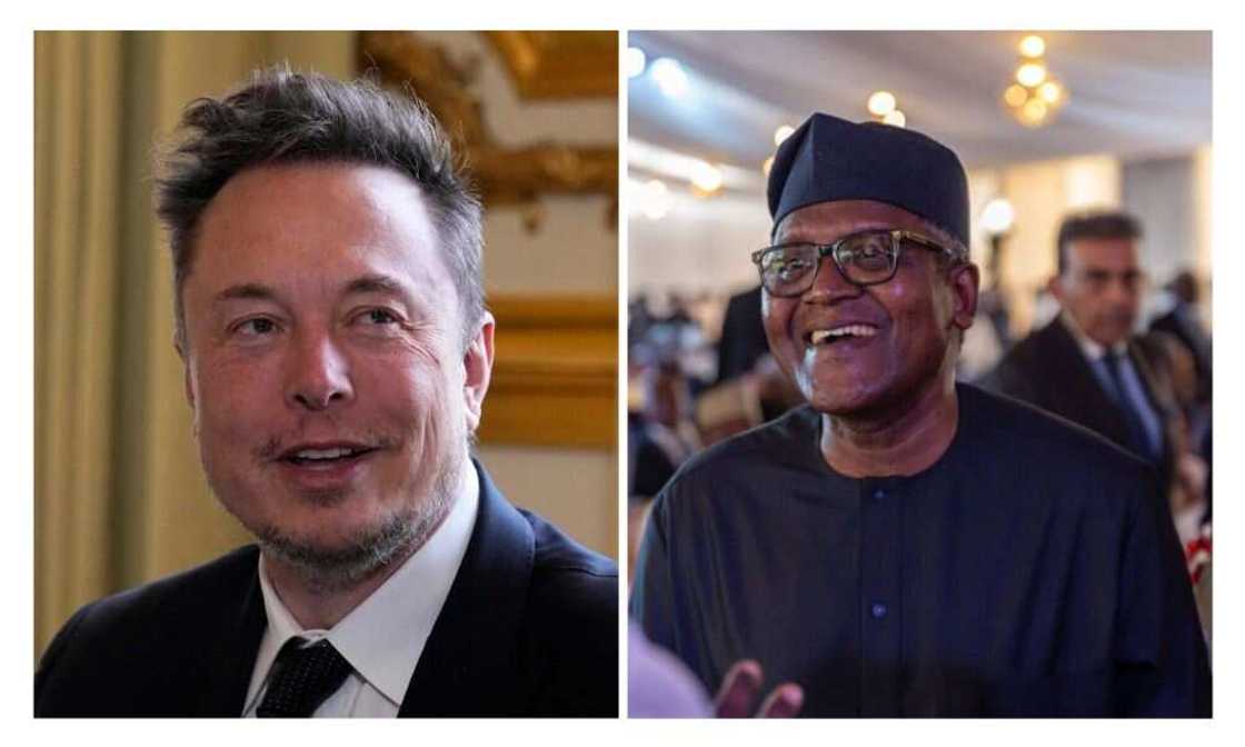 Elon Musk, Dangote, Billionaires