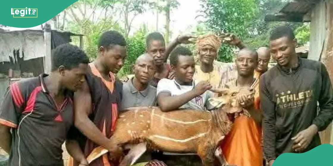 Victims' families speak after killing of northern hunters in Uromi Victims' families speak after killing of northern hunters in Uromi