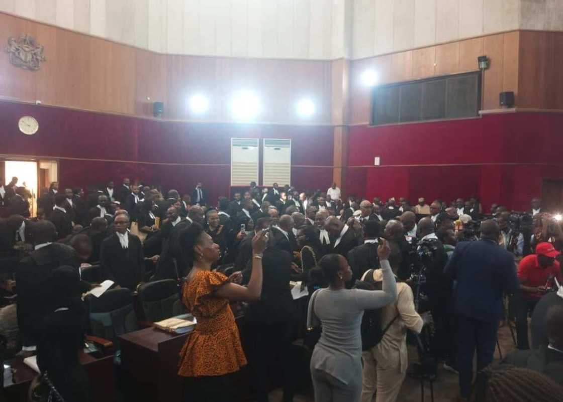 Presidential Election Petitions, 2023 elections, Bola Tinubu, Peter Obi, Atiku Abubakar Presidential Election Petitions, 2023 elections, Bola Tinubu, Peter Obi, Atiku Abubakar