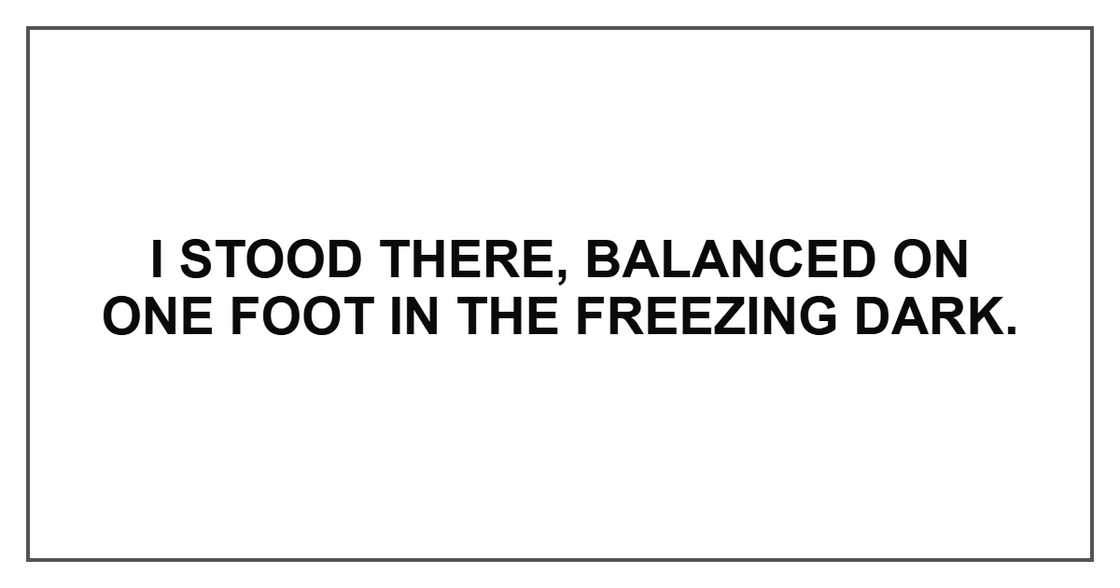 I stood there, balanced on one foot in the freezing dark. I stood there, balanced on one foot in the freezing dark.