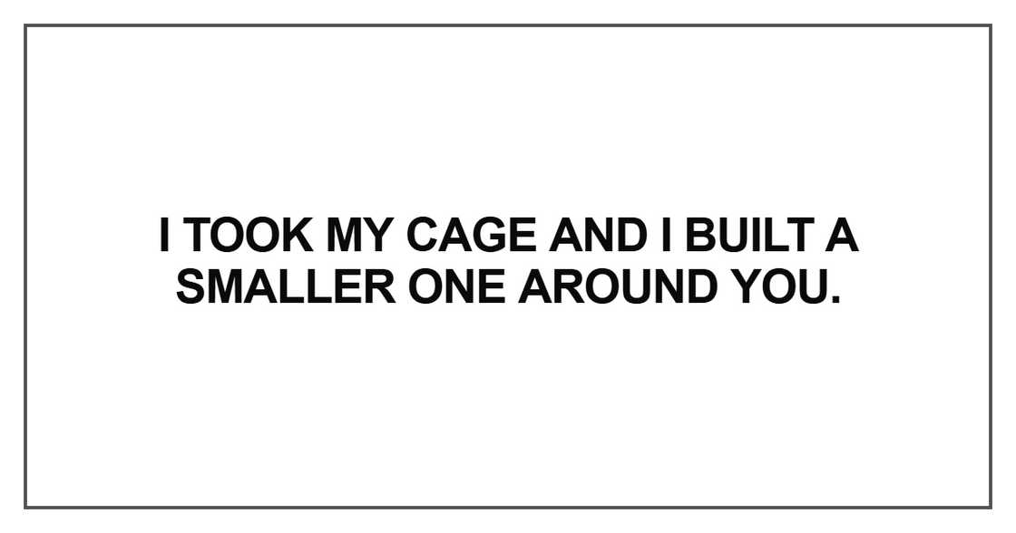 I took my cage and I built a smaller one