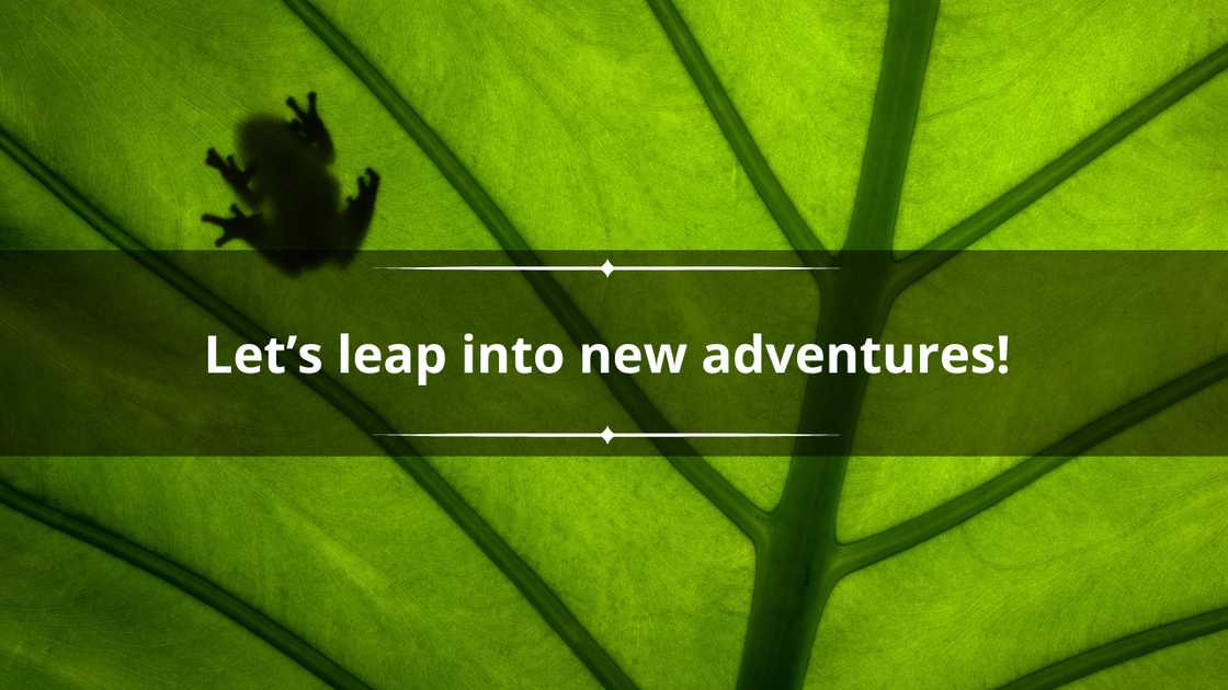 short frog puns short frog puns