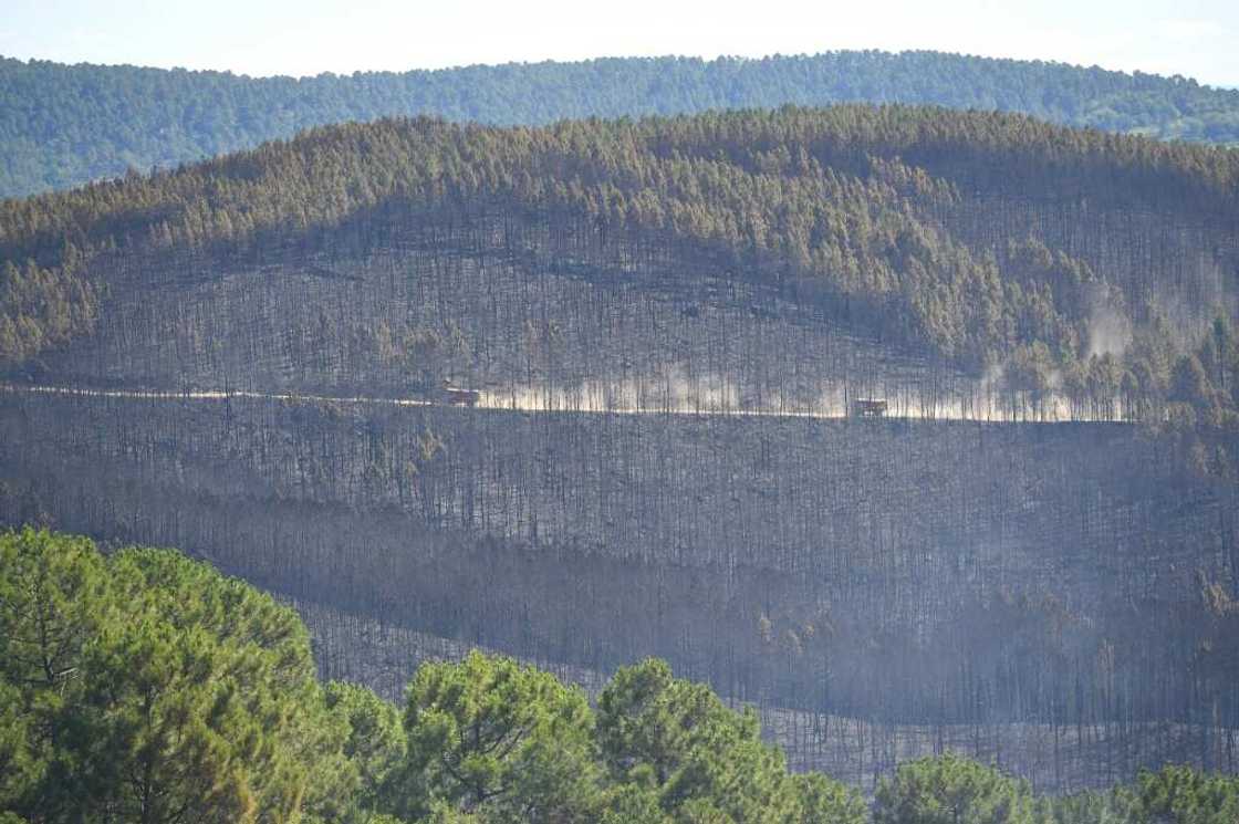 Described by emergency responders as a 'mega-fire', the blaze started near the village of Bordezac and forced people to evacuate Described by emergency responders as a 'mega-fire', the blaze started near the village of Bordezac and forced people to evacuate