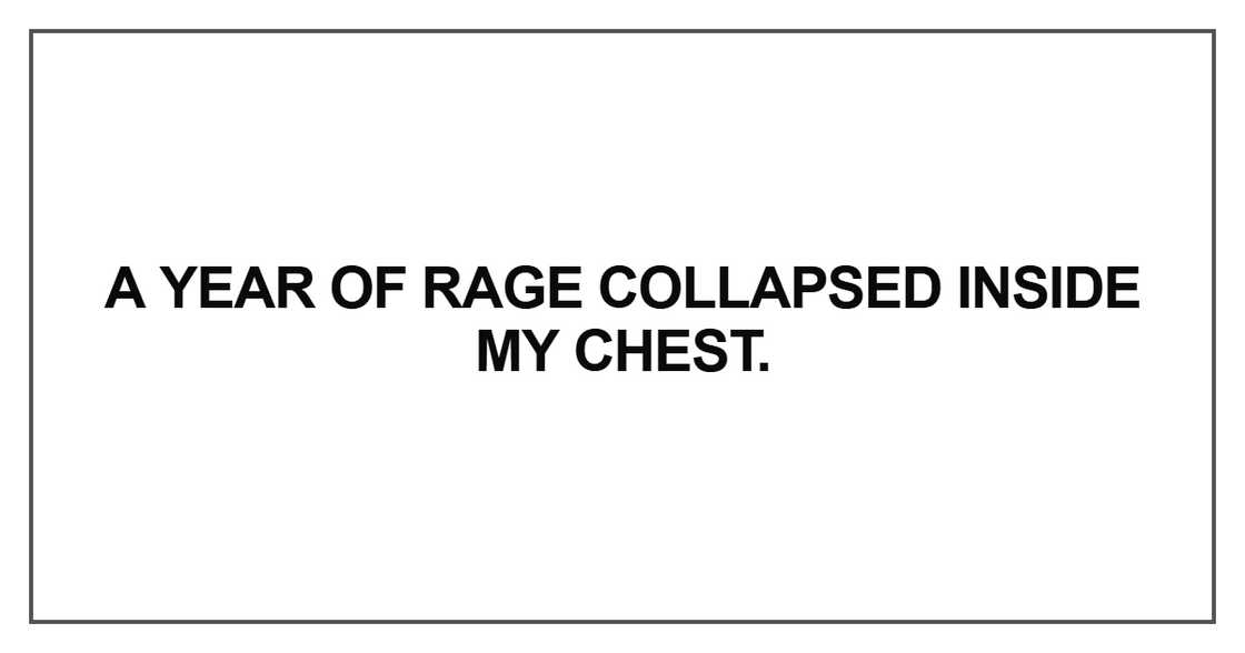 A year of rage collapsed inside my chest. A year of rage collapsed inside my chest.