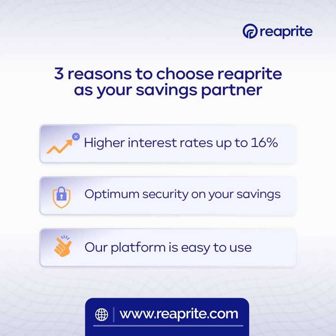 Reaprite: Your seamless savings and investment platform Reaprite: Your seamless savings and investment platform