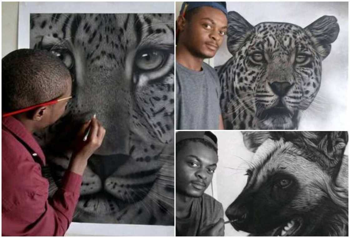 Ricky Dampers: Wildlife artist who creates awareness for animals with his paintings, showcases artworks