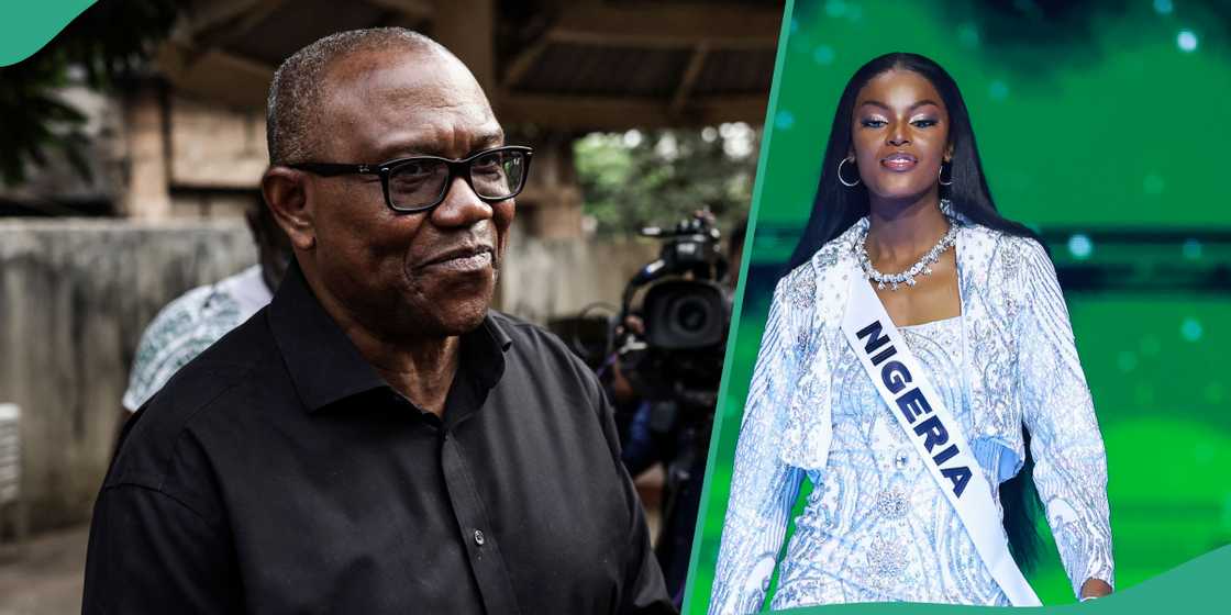 Miss Universe 2024: Peter Obi reacts as Chidimma Adetshina emerges first runner-up